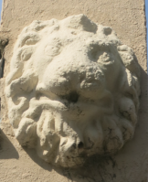 Qld Terrace Lion Head x