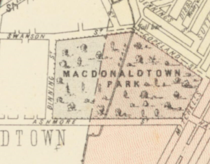 Map of Alexandria, Parishes of Alexandria and Petersham circa 1886 Macdonaldtown Park
